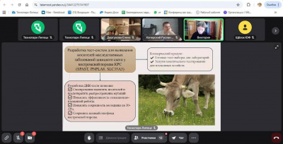 Первый день защиты «УМНИК-2025» по направлению «Биотехнологии» открыт!